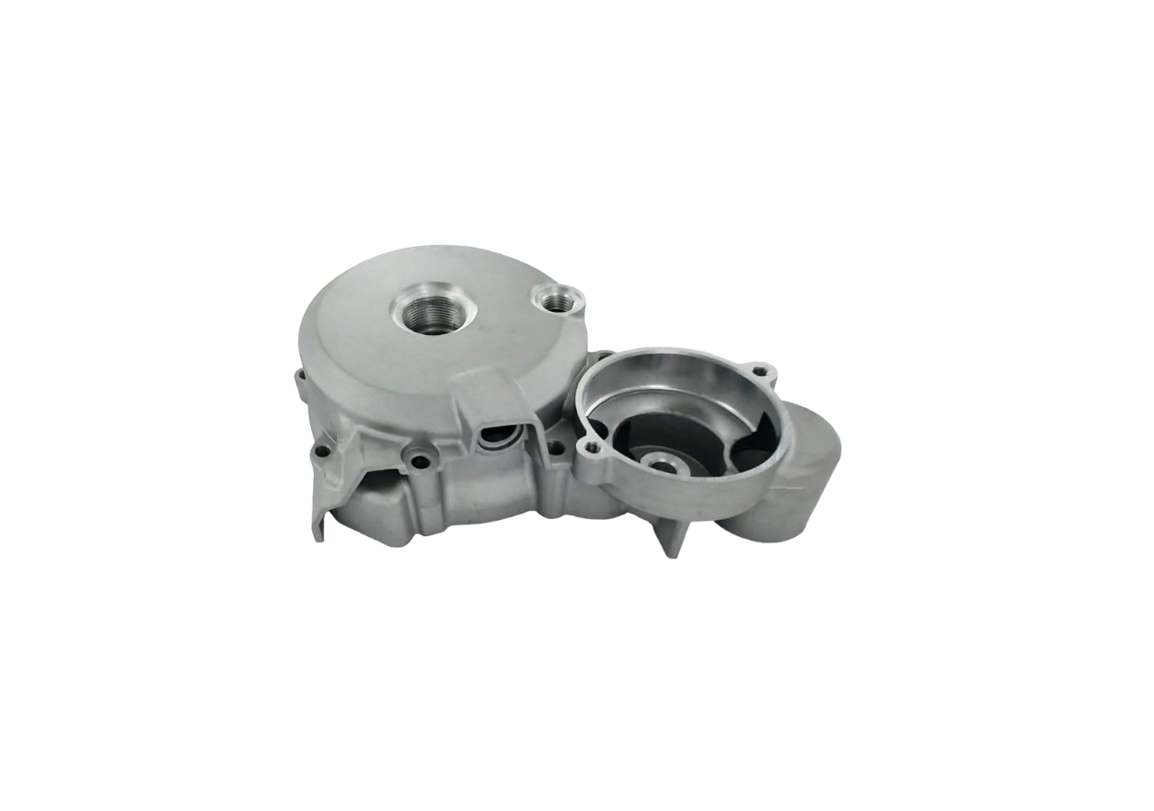 Carter d'allumage moteur vertical - 150/250cc Zongshen
